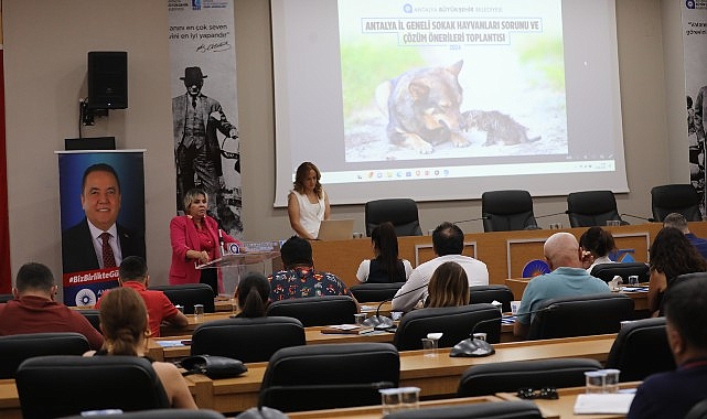 Antalya Büyükşehir Belediyesi sahipsiz hayvanlar adına müdahale etti - GÜNDEM