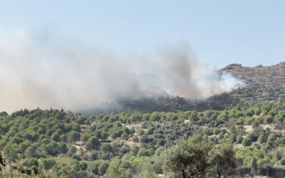 İzmir Ödemiş'te Orman Yangını Kontrol Altına Alındı